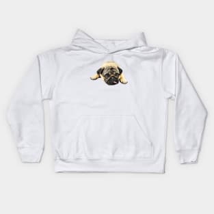 Pug -Cute Funny Dog Kids Hoodie